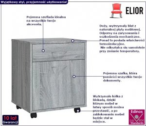 Elior Szary Kontener biurkowy - Larina 2