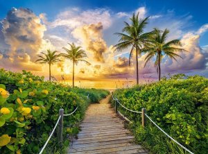 Castorland Puzzle 3000 Colorful Sunrise in Miami, USA 2