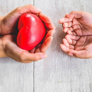 Zegarek Casio Zegarek Męski Casio ECB-10D-2AEF Edifice Premium 10