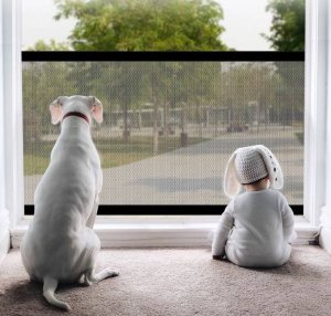 Ultimar Bramka zabezpieczająca przegroda dla psa drzwi 8