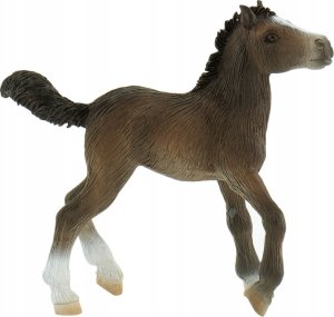 Figurka Bullyland Bullyland koń źrebię LIPIZZIANER 62512 9cm 1