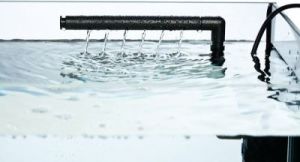 Diversa FILTR AKWARIOWY CLARO 300 2