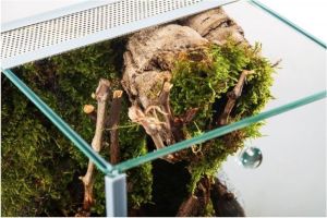 Diversa TERRARIUM PAJĄK 20x20x30 cm 3