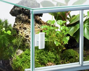 Diversa TERRARIUM 80x40x50 4mm 2