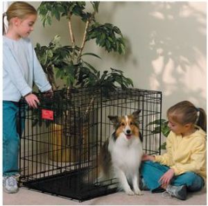 Midwest LIFE STAGES KLATKA DLA PSA 76x53x61 2