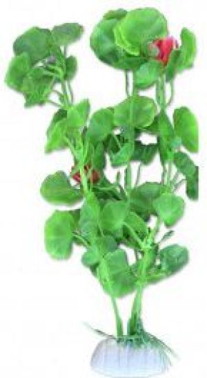 ZOOLOGIA ROŚLINKA "B" 2