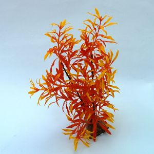 ZOOLOGIA ROŚLINKA "C" 2