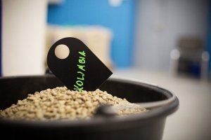 Kawa ziarnista BLUE DROP Wush Wush 340 g 6