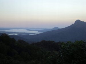 Kawa ziarnista Kiwi Garden India 200 g 6