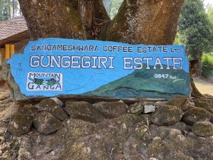 Kawa ziarnista Kiwi Garden India 200 g 7