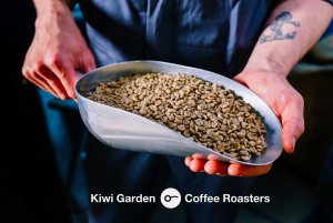 Kawa ziarnista Kiwi Garden Mexico 1 kg 10