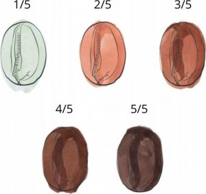 Kawa mielona Dallmayr Kawa mielona DALLMAYR San Sebastian 250 g 7