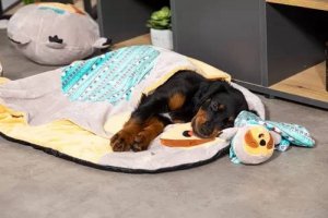 Zolux ZOLUX Zabawka pluszowa CHIQUITOS leniwiec kocyk 4