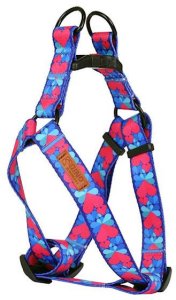 Dino DINO SZELKI TAŚMA REG. IVO 20mm SERCA dł. 40-60cm 3