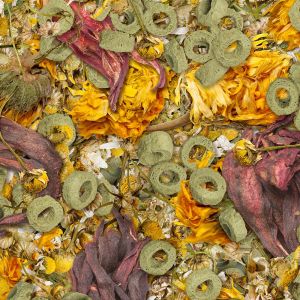 Sera FLOWERS'N'LOOPS 1000ml 2