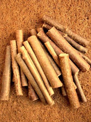 Zuzala GAŁĄZKI LESZCZYNY 2