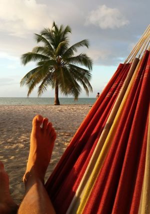 Amazonas Hamak Barbados Acerola 230x150cm (AZ-1018170) 5