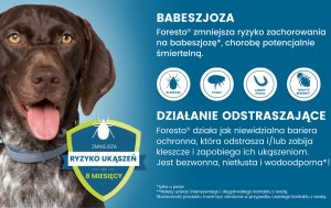 Elanco Obroża dla psów I kotów od 8kg FORESTO 70cm - SAN000036 15