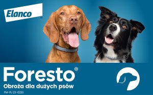 Elanco Obroża dla psów I kotów od 8kg FORESTO 70cm - SAN000036 17