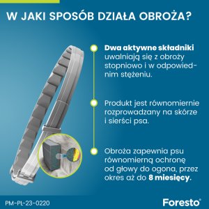 Elanco Obroża przeciwko pchłom i kleszczom Foresto dla psa i kota do 8 kg 38 cm 12