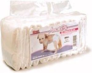 Record PIELUCHY DLA PSA"XL" 80cm/12szt 1