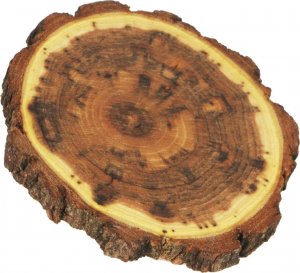 Wamar-Sosenka Zestaw 6 szt Podkładek na Stół /śr. 9-12 cm/ Drewno Akacji z Korą Olejowany Naturalny PDOA_0912X10_KO6 / Wamar-Sosenka 2