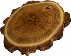 Wamar-Sosenka Zestaw 6 szt Podkładek na Stół /śr. 9-12 cm/ Drewno Akacji z Korą Olejowany Naturalny PDOA_0912X10_KO6 / Wamar-Sosenka 3