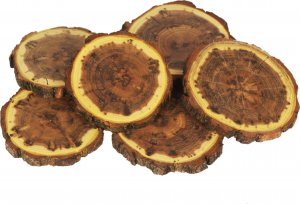 Wamar-Sosenka Zestaw 6 szt Podkładek na Stół /śr. 9-12 cm/ Drewno Akacji z Korą Olejowany Naturalny PDOA_0912X10_KO6 / Wamar-Sosenka 5