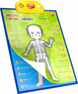 Dumel Edukacyjne plakaty. Człowiek 2