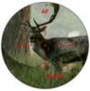 Dalmierz Bresser WP/OLED 6x24 800m Rangefinder & Speedmeter (4025880) 10