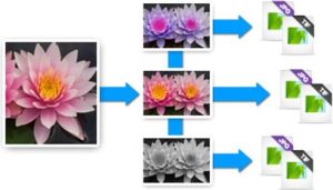 Corel AfterShot Pro 3 (ESDASP3MLPC) 3