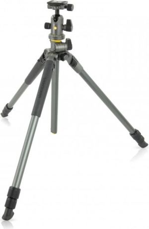 Statyw Vanguard Alta Pro2+ (263AB 100) 2