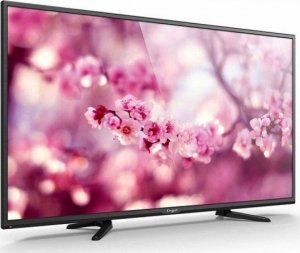 Telewizor Engel Smart TV Engel LE4060SAT 40 40" FHD LED HDMI 1