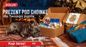 Zolux Zestaw prezentowy dla psa 2