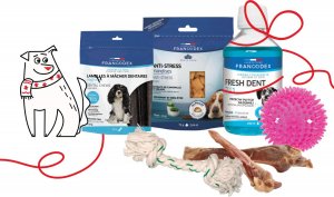 Zolux Zestaw prezentowy dla psa 7