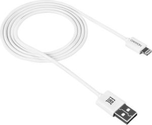 Kabel USB Canyon USB-A - 1 m Biały (CNE-CFI1W) 1