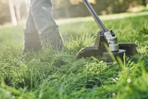 Dewalt  przystawka podkaszarka do wielofunkcyjnego narzędzia Split Boom (DCMASST1N-XJ) 2