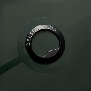 Plecak Delsey Turenne 14" (001621610-13) 5