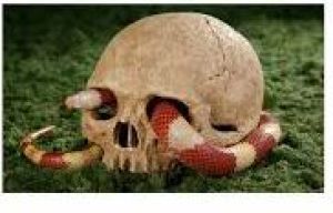 Hagen DEKORACJA CZASZKA 3