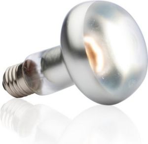 Hagen EXOTERRA ŻARÓWKA INTENSE SPOT 50W 2