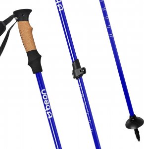 Beon Kije trekkingowe Pro 9