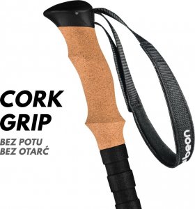 Beon Kije trekkingowe Carbon 4