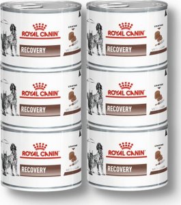 Royal Canin ROYAL CANIN Recovery 6x195g puszka 1