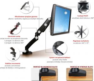 Art Uchwyt biurkowy na monitor 13" - 27" L-11GD (RAMART L-11GD) 9