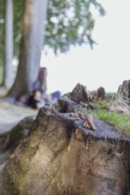 Trixie Insect Hearts 80g 8