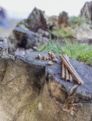 Trixie Insect Hearts 80g 9