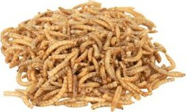 Trixie Larwy mącznika, suszone, 70 g 3