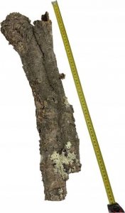 Terra Natura Dekoracja do terrarium tuby korkowe S-M, do 60cm (kraj pochodzenia Portugalia), 1kg 11