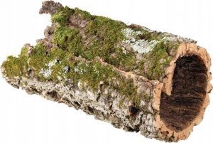 Terra Natura Dekoracja do terrarium tuby korkowe S-M, do 60cm (kraj pochodzenia Portugalia), 1kg 6