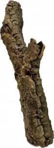 Terra Natura Dekoracja do terrarium tuby korkowe S-M, do 60cm (kraj pochodzenia Portugalia), 1kg 8